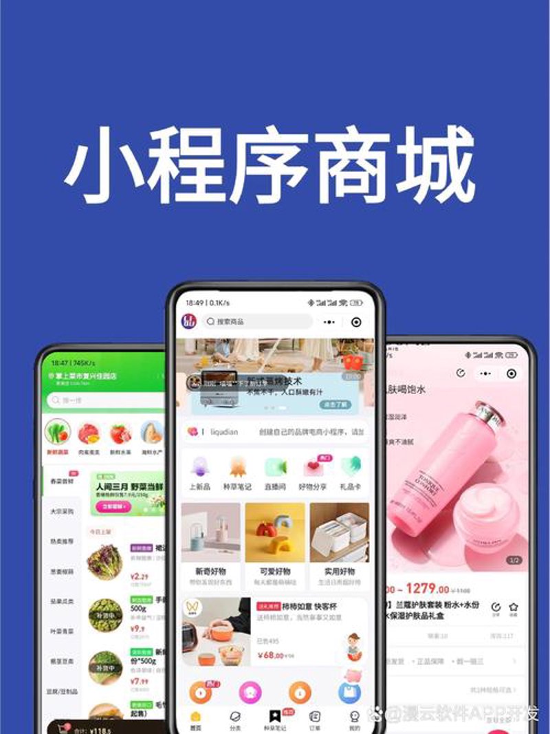 小程序开发风起云涌：构建未来的商业梦想